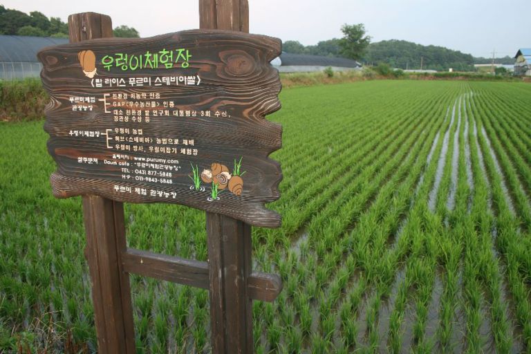 소중한 우리 논 학습장